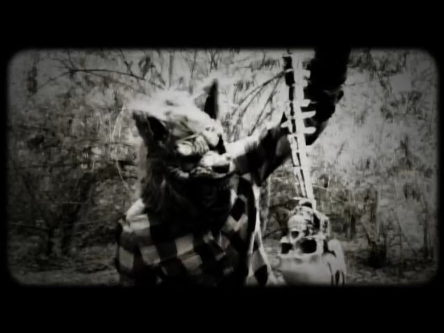 MV5BMjM5NTkwMDgyN15BMl5BanBnXkFtZTgwOTQzMzYzNTE@._V1_SX640_SY720_